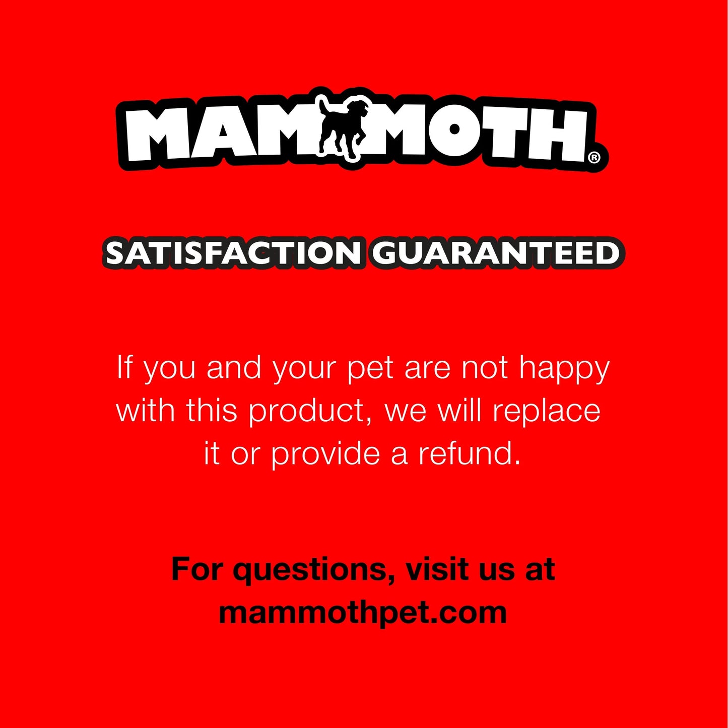 Flossy Chews Snakebiter Iguana Cottonblend Rope Dog Toy, Medium, 16", Assorted Colors