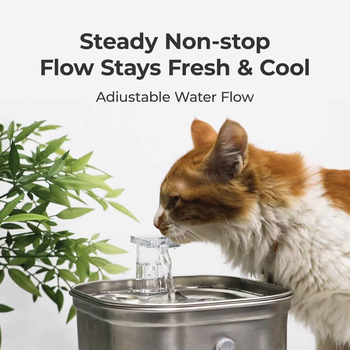 Cat Water Fountain Stainless Steel 74Oz/2.2L Automatic Pet Dog Water Fountain