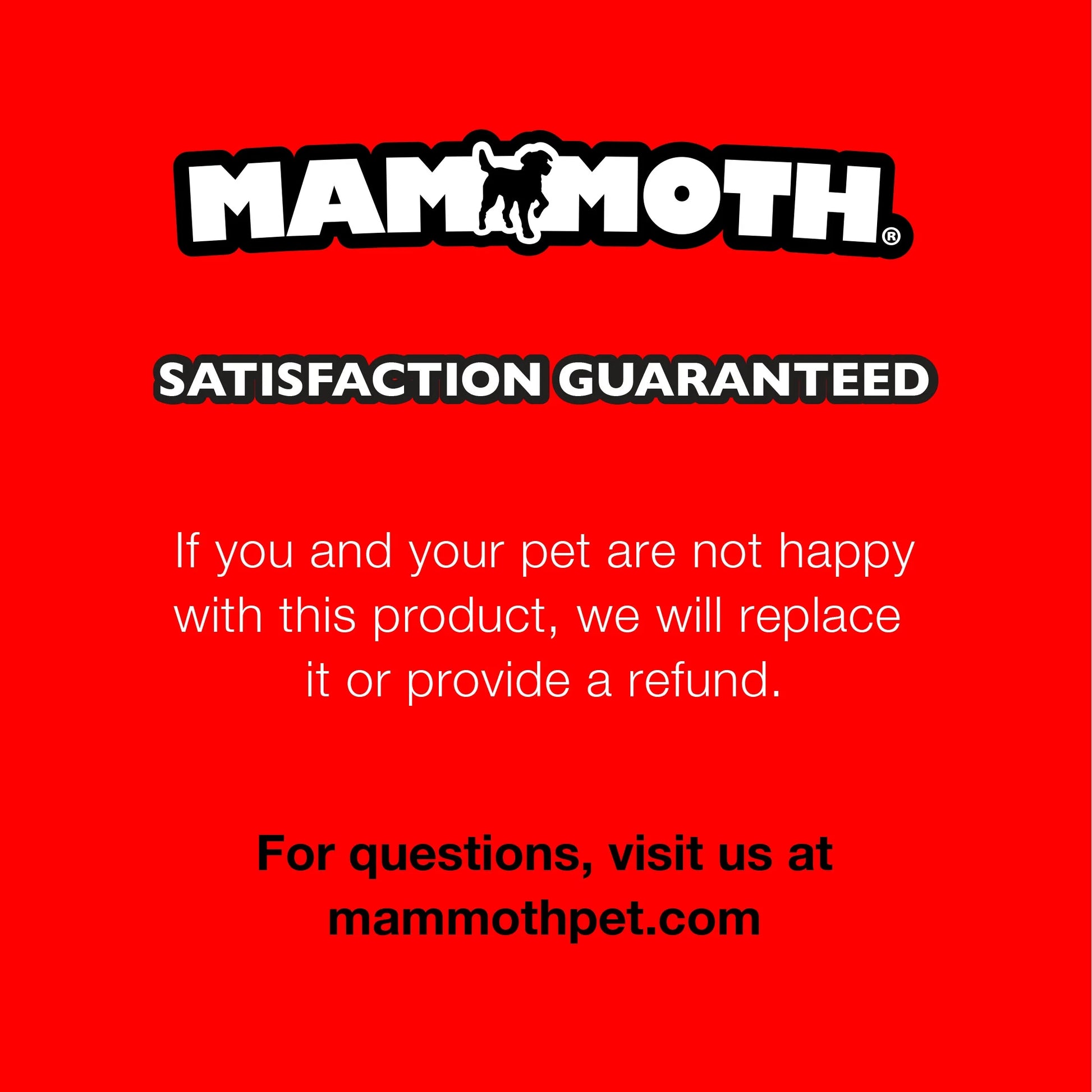 Flossy Chews Snakebiter Iguana Cottonblend Rope Dog Toy, Medium, 16", Assorted Colors