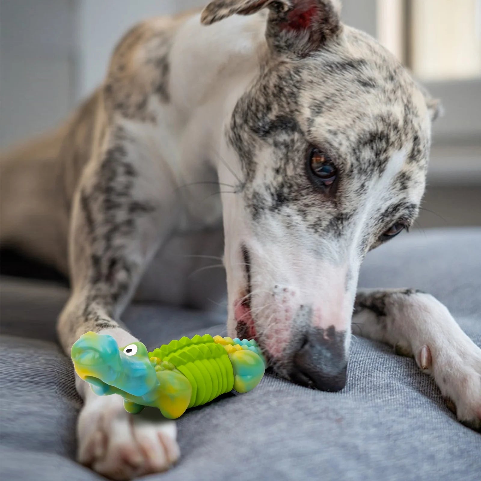 Tough Dog Toys,Dog Toys for Aggressive Chewers,Indestructible Dog Toys for Large Breed,Durable Dog Toys for Large Dogs,Bacon Flavor,Green