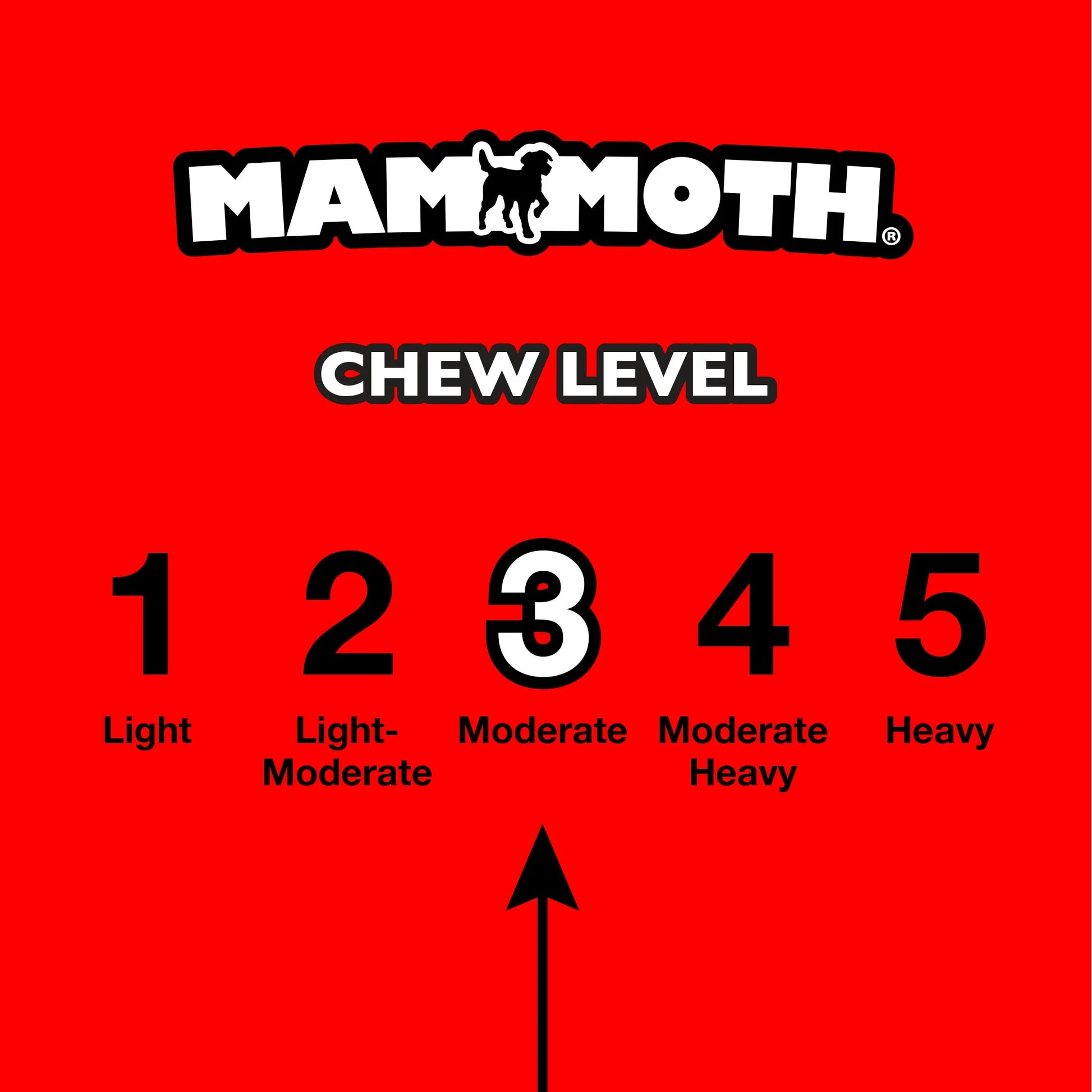 Flossy Chews Snakebiter Iguana Cottonblend Rope Dog Toy, Medium, 16", Assorted Colors