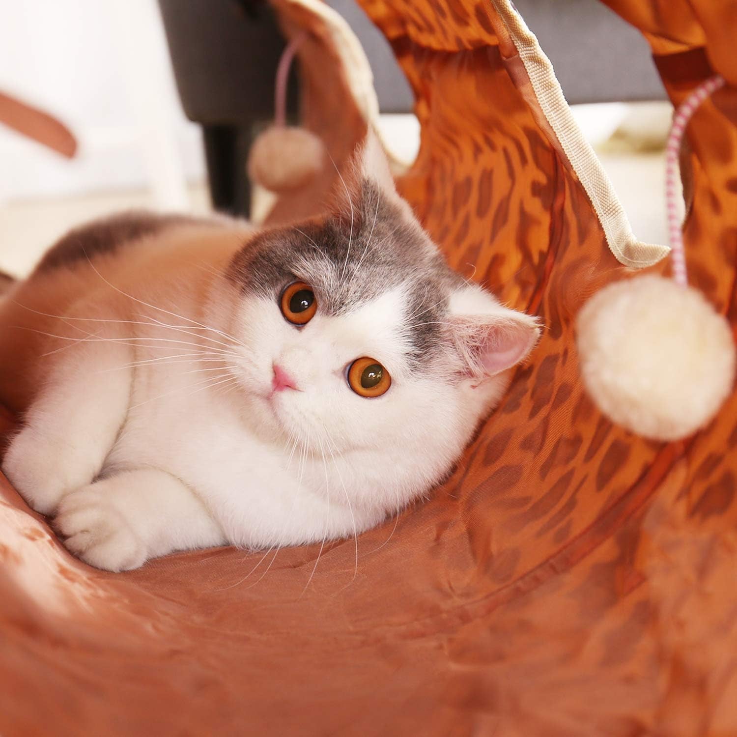 XL Collapsible Cat Tunnel for Fat Cats & Rabbits - 51"X12" Extra Wide Pet Play Tunnel with 12-Inch Diameter for Large Cats, Small Dogs